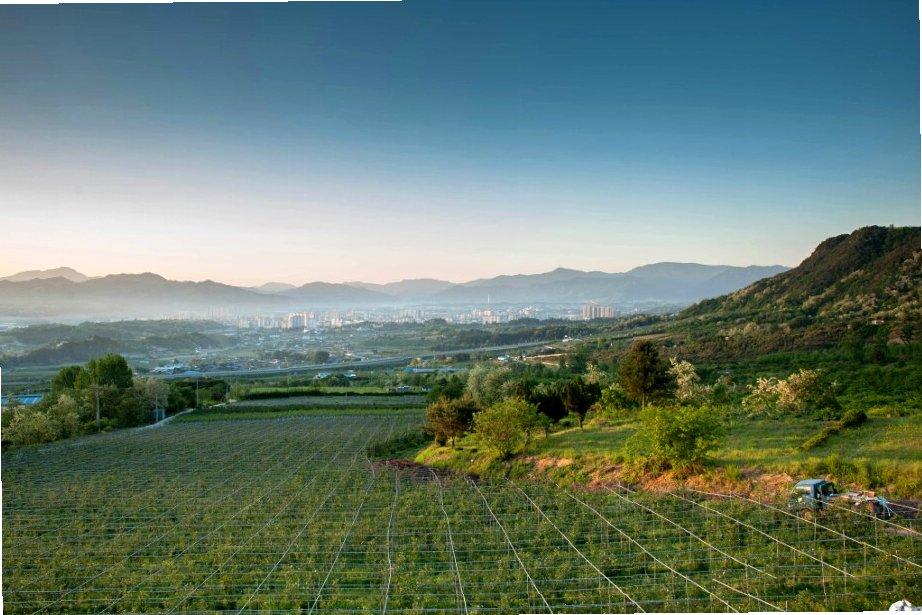 거창 베리 농장 베리