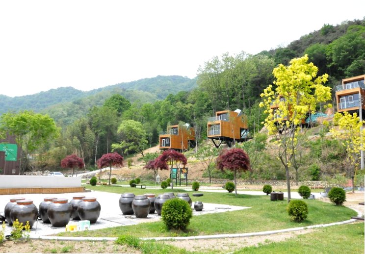 거창 베리 농장 이수미팜베리 위치