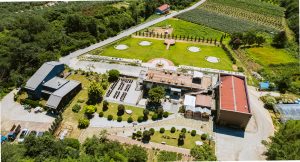 거창 베리 농장 추천 ...