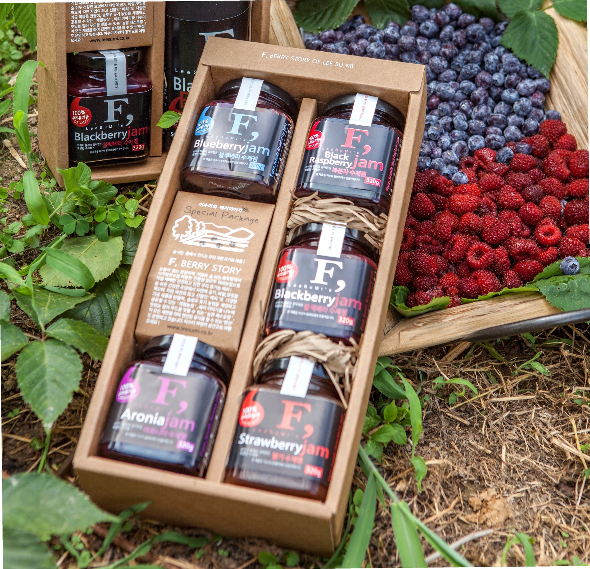 거창 베리 농장 딸기